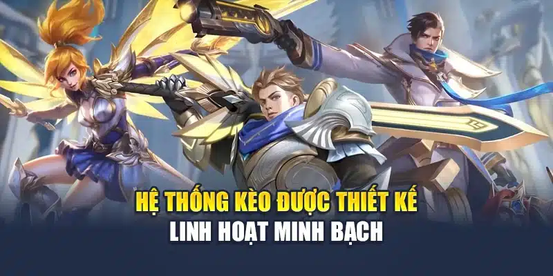 Hệ thống kèo được thiết kế linh hoạt minh bạch