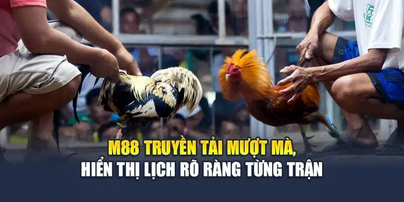 M88 truyền tải mượt mà, hiển thị lịch rõ ràng từng trận